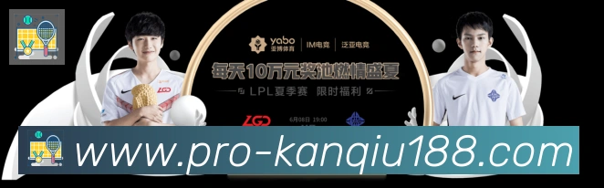 登录器
